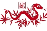 十二生肖中的蛇是第六個生肖，象征著智慧、神秘和靈性。
